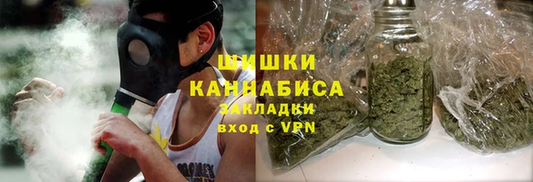 ГАЛЛЮЦИНОГЕННЫЕ ГРИБЫ Белоозёрский